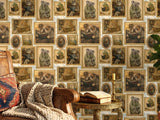 Whimsical Animals Reading Books Wallpaper: Cats, Dogs, Koalas, Owls (Peel & Stick/Traditional)
